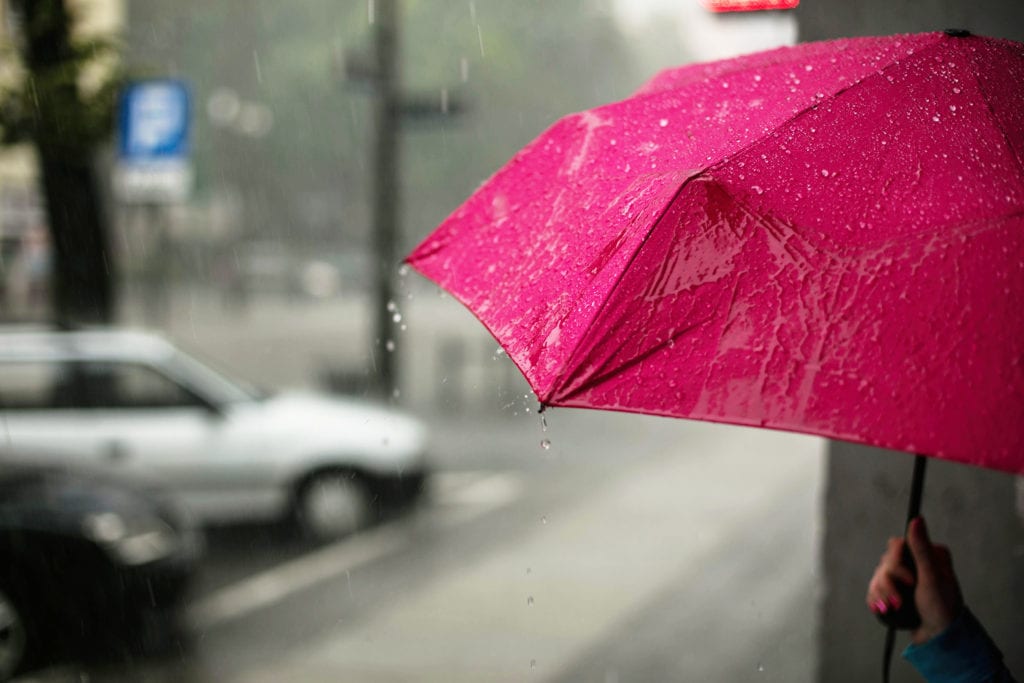 wirecutter travel umbrella