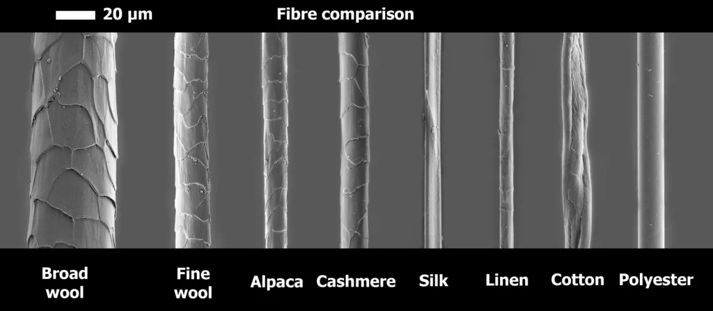 merino wool fiber