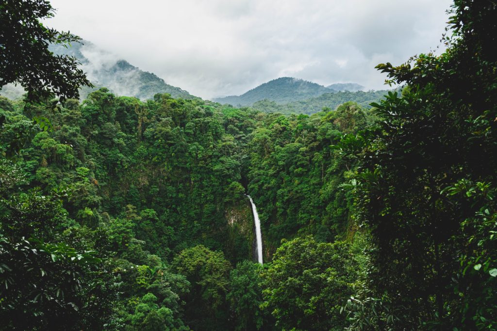 Jungle and waterfall in Costa Rica