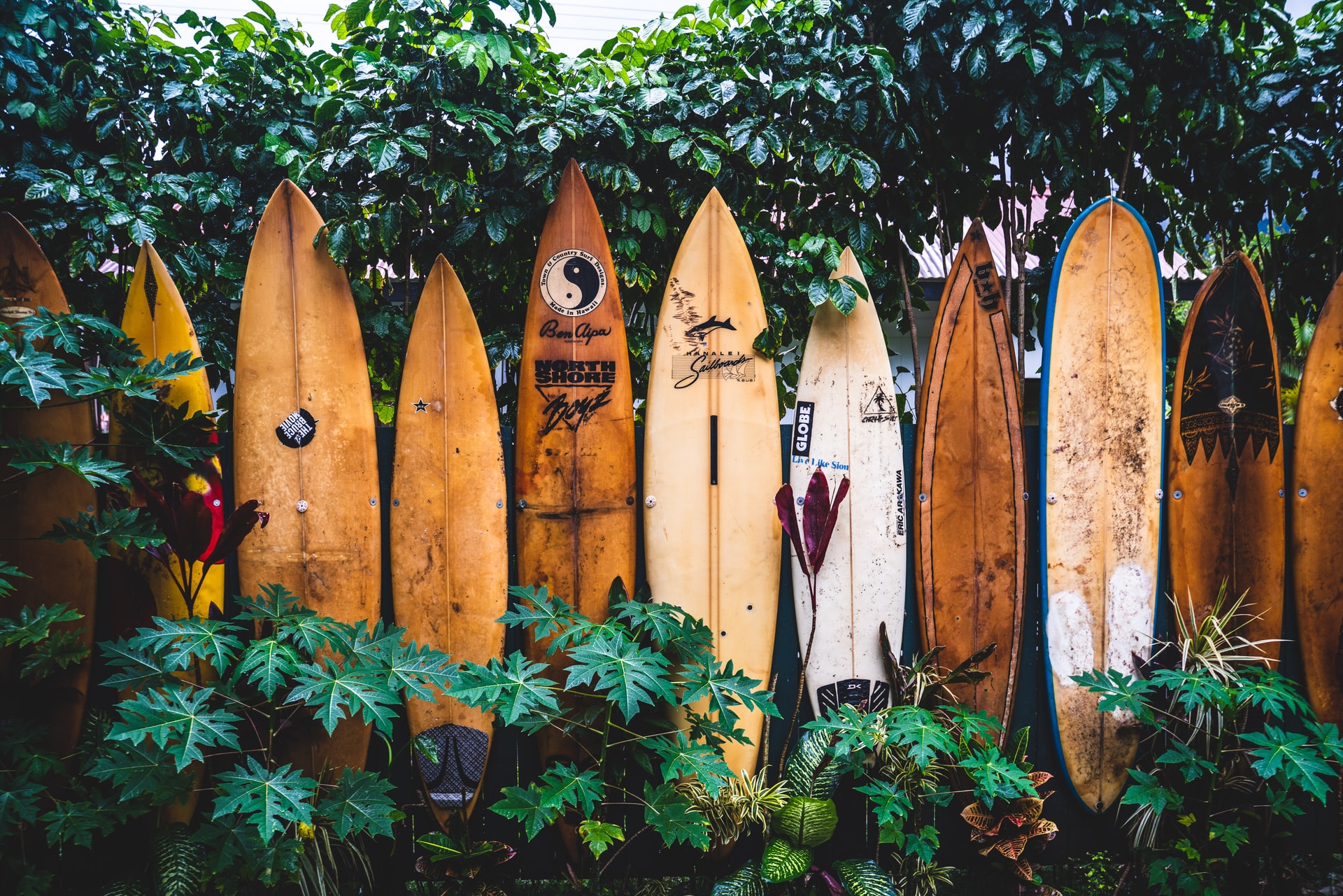 Surfboards in Hawaii