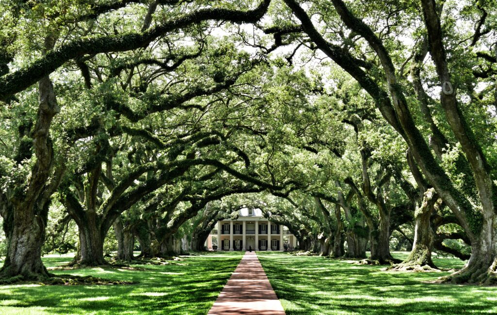 Visiting New Orleans in August